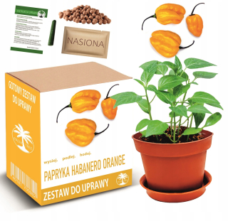 Sada na pestovanie chilli papričiek HABANERO ORANGE